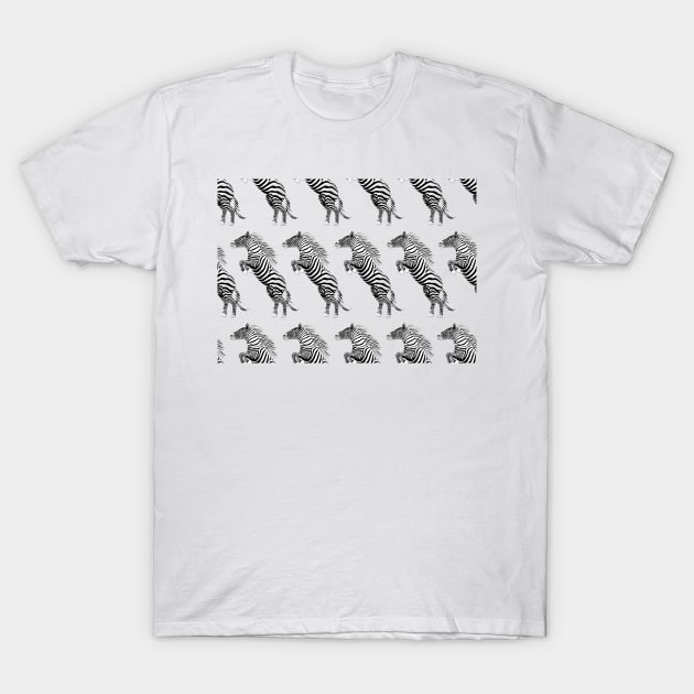 Jumping zebra T-Shirt by ilhnklv